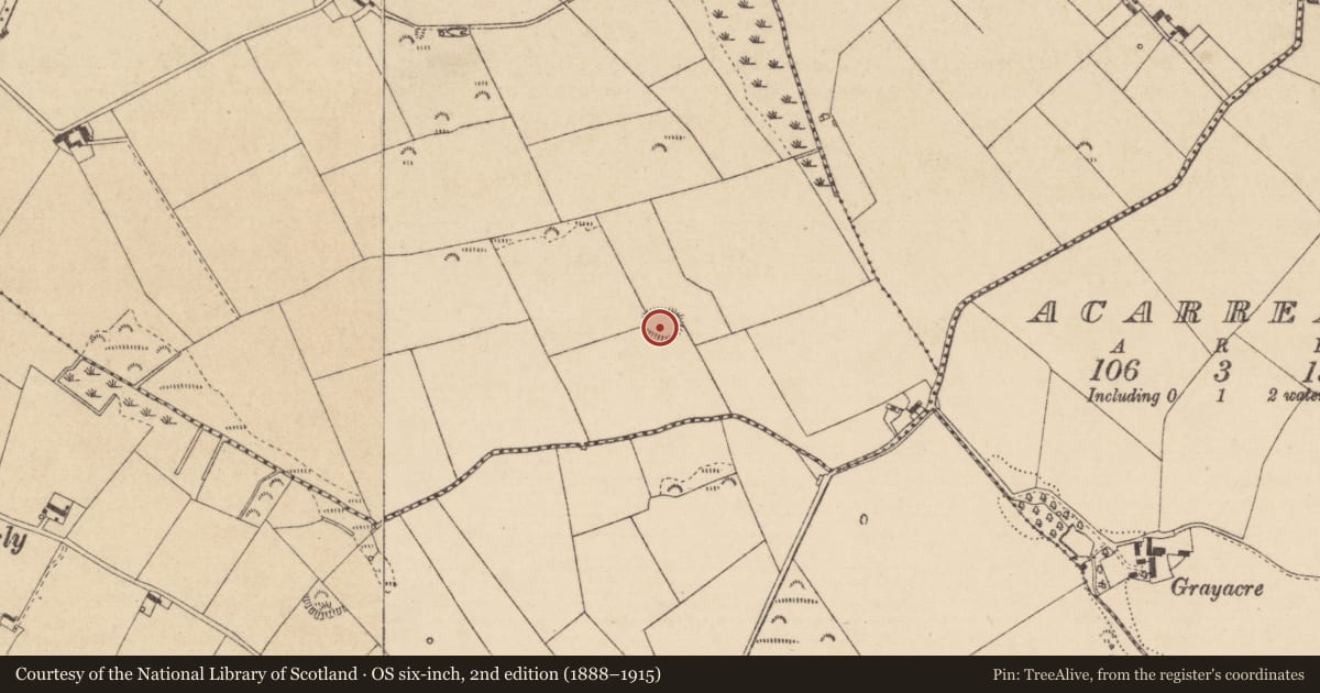 Ordnance Survey six-inch map, 2nd edition (1888–1915) covering the location of Ringfort - rath, Tankardsrock, County Louth, with a pin at the register's coordinates
