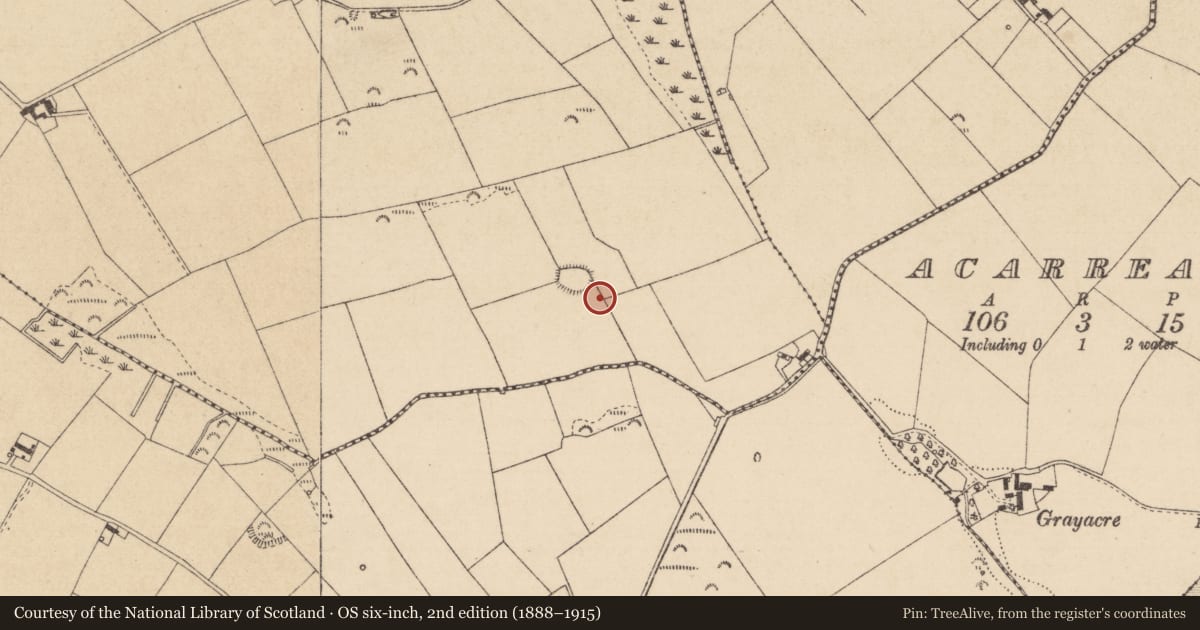 Ordnance Survey six-inch map, 2nd edition (1888–1915) covering the location of Standing stone, Tankardsrock, County Louth, with a pin at the register's coordinates