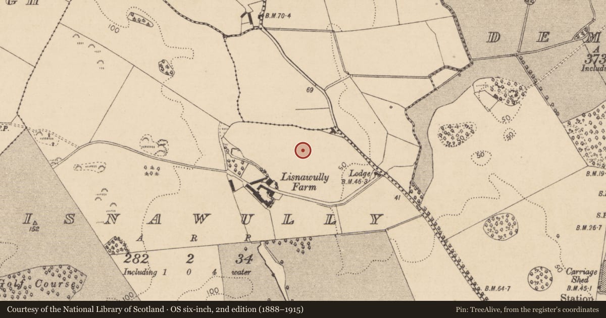 Ordnance Survey six-inch map, 2nd edition (1888–1915) covering the location of Souterrain, Lisnawully, County Louth, with a pin at the register's coordinates