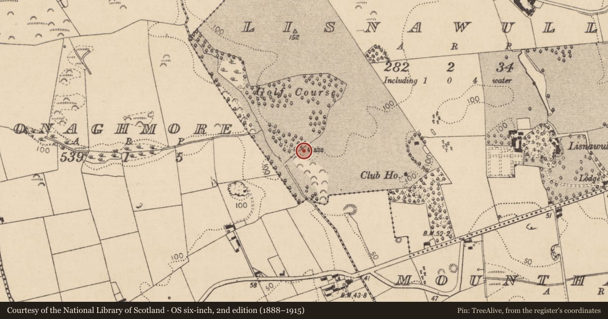 Ordnance Survey six-inch map, 2nd edition (1888–1915) covering the location of Souterrain, Lisnawully, County Louth, with a pin at the register's coordinates