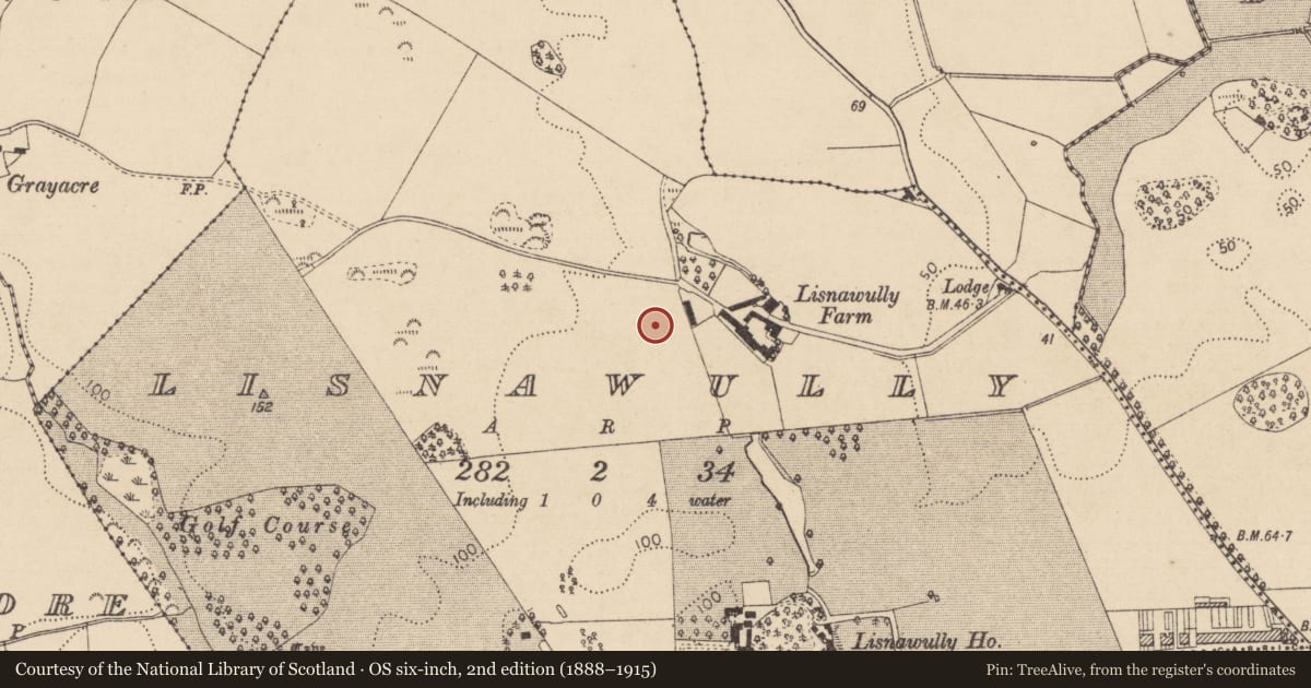 Ordnance Survey six-inch map, 2nd edition (1888–1915) covering the location of Souterrain, Lisnawully, County Louth, with a pin at the register's coordinates