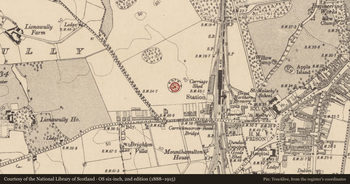 Ordnance Survey six-inch map, 2nd edition (1888–1915) covering the location of Souterrain, Demesne, County Louth, with a pin at the register's coordinates
