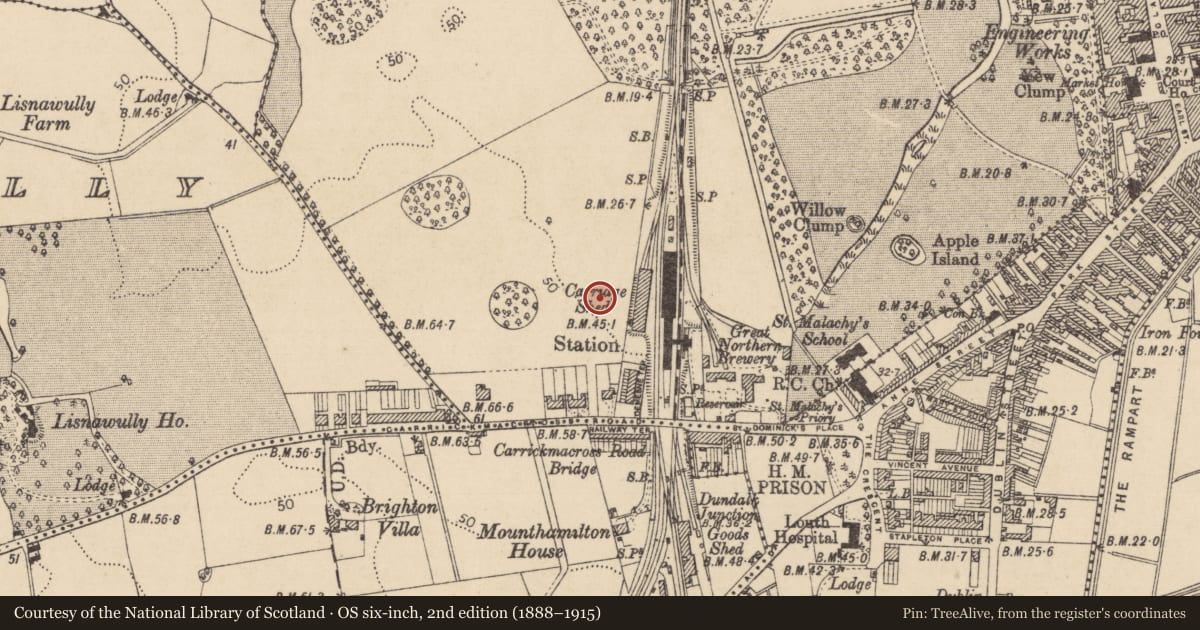 Ordnance Survey six-inch map, 2nd edition (1888–1915) covering the location of Souterrain, Demesne, County Louth, with a pin at the register's coordinates