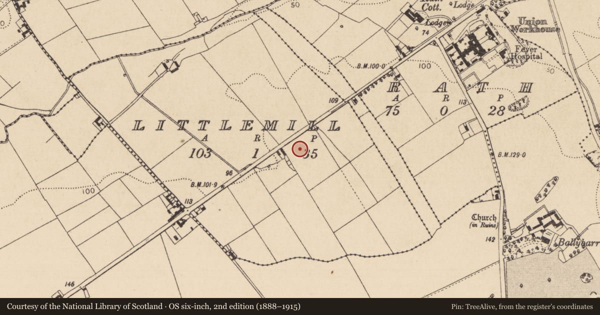 Ordnance Survey six-inch map, 2nd edition (1888–1915) covering the location of Souterrain, Littlemill, County Louth, with a pin at the register's coordinates