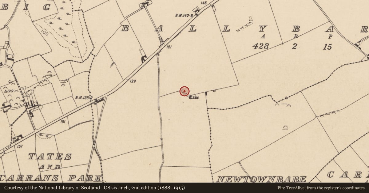 Ordnance Survey six-inch map, 2nd edition (1888–1915) covering the location of Ringfort - rath, Ballybarrack, County Louth, with a pin at the register's coordinates