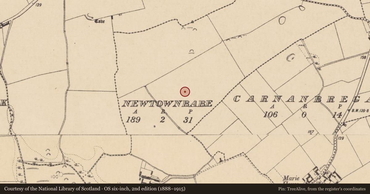 Ordnance Survey six-inch map, 2nd edition (1888–1915) covering the location of Souterrain, Newtownbabe, County Louth, with a pin at the register's coordinates