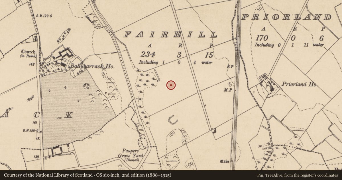 Ordnance Survey six-inch map, 2nd edition (1888–1915) covering the location of Ringfort - rath, Fairhill, County Louth, with a pin at the register's coordinates