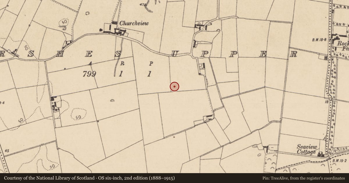 Ordnance Survey six-inch map, 2nd edition (1888–1915) covering the location of Souterrain, Marshes Upper, County Louth, with a pin at the register's coordinates