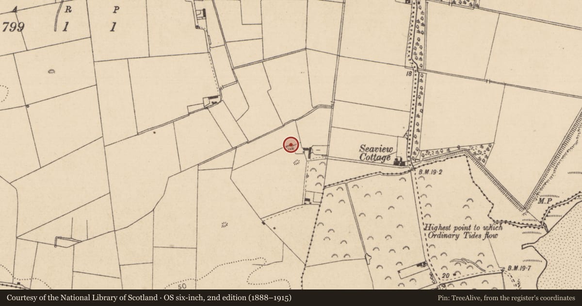 Ordnance Survey six-inch map, 2nd edition (1888–1915) covering the location of Souterrain, Marshes Upper, County Louth, with a pin at the register's coordinates