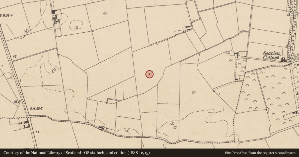 Ordnance Survey six-inch map, 2nd edition (1888–1915) covering the location of Souterrain, Marshes Upper, County Louth, with a pin at the register's coordinates
