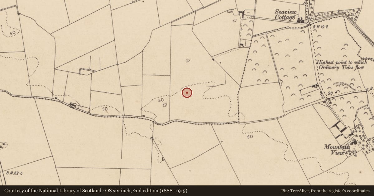 Ordnance Survey six-inch map, 2nd edition (1888–1915) covering the location of Souterrain, Marshes Upper, County Louth, with a pin at the register's coordinates
