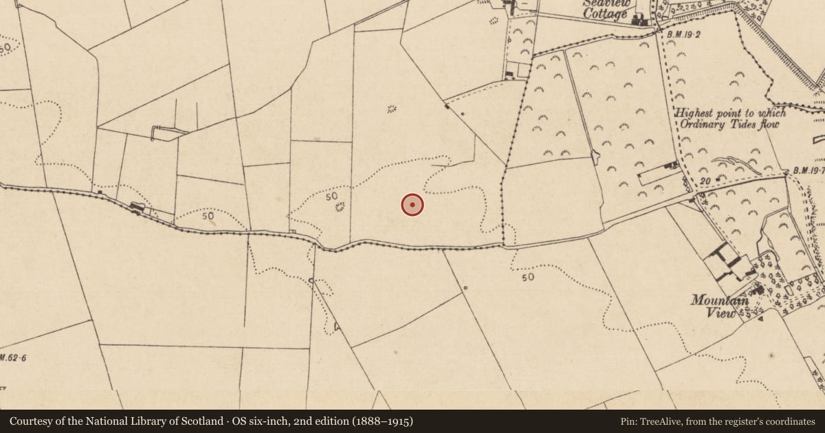 Ordnance Survey six-inch map, 2nd edition (1888–1915) covering the location of Souterrain, Marshes Upper, County Louth, with a pin at the register's coordinates