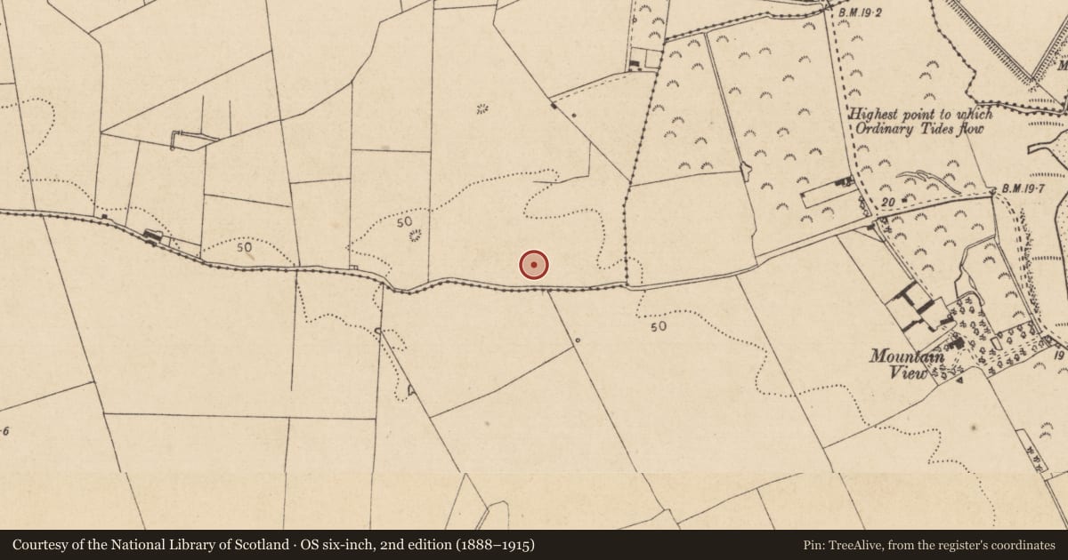 Ordnance Survey six-inch map, 2nd edition (1888–1915) covering the location of Souterrain, Marshes Upper, County Louth, with a pin at the register's coordinates