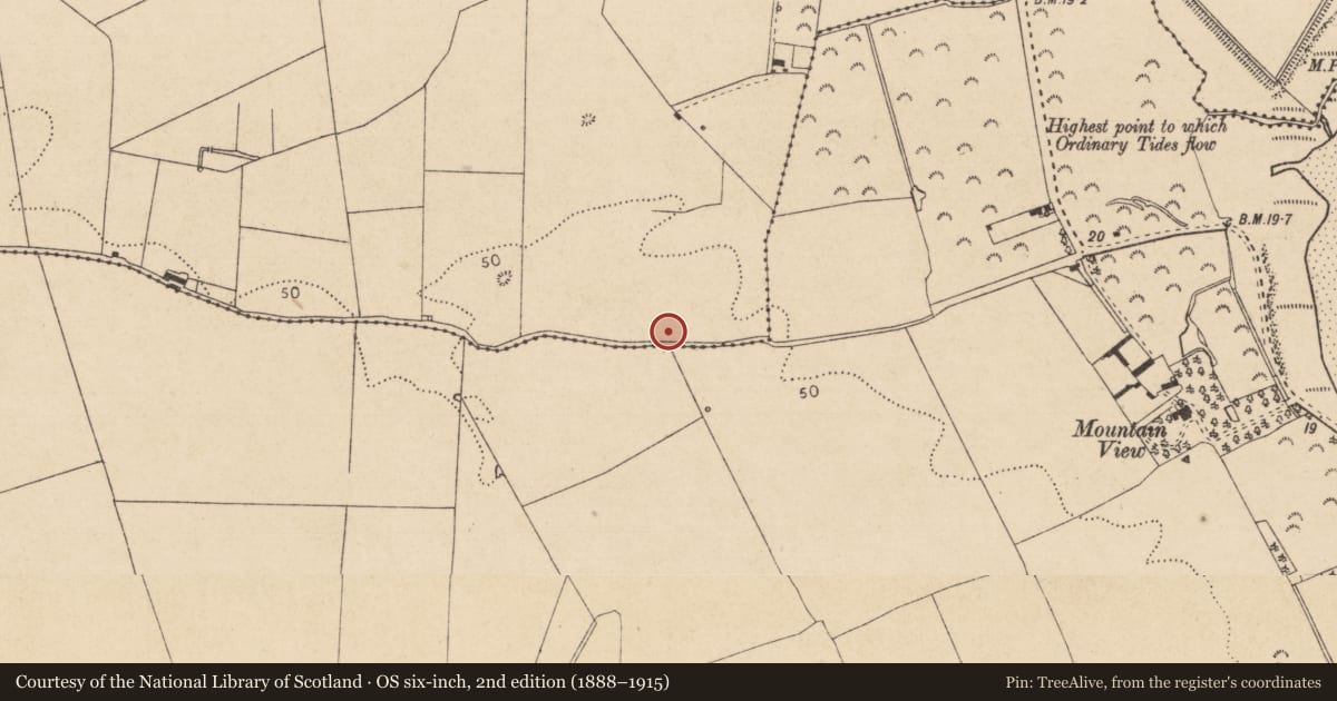 Ordnance Survey six-inch map, 2nd edition (1888–1915) covering the location of Souterrain, Marshes Upper, County Louth, with a pin at the register's coordinates