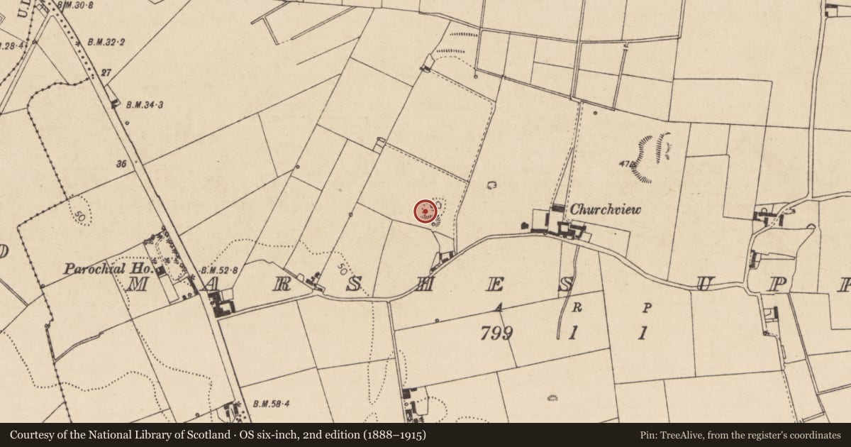 Ordnance Survey six-inch map, 2nd edition (1888–1915) covering the location of Souterrain, Marshes Upper, County Louth, with a pin at the register's coordinates