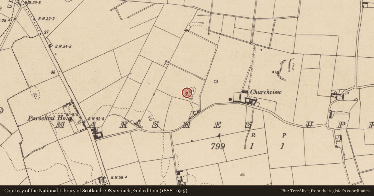 Ordnance Survey six-inch map, 2nd edition (1888–1915) covering the location of Enclosure, Marshes Upper, County Louth, with a pin at the register's coordinates