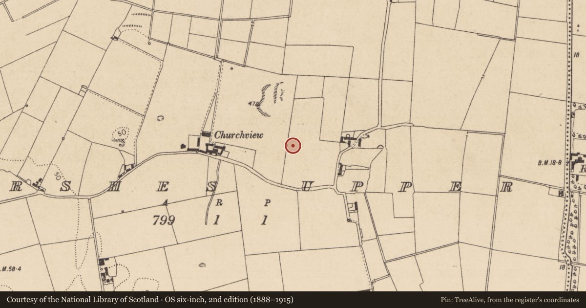 Ordnance Survey six-inch map, 2nd edition (1888–1915) covering the location of Souterrain, Marshes Upper, County Louth, with a pin at the register's coordinates
