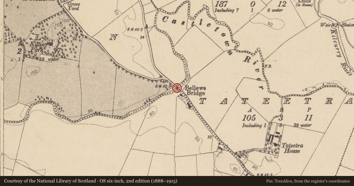 Ordnance Survey six-inch map, 2nd edition (1888–1915) covering the location of Bridge, County Louth, with a pin at the register's coordinates