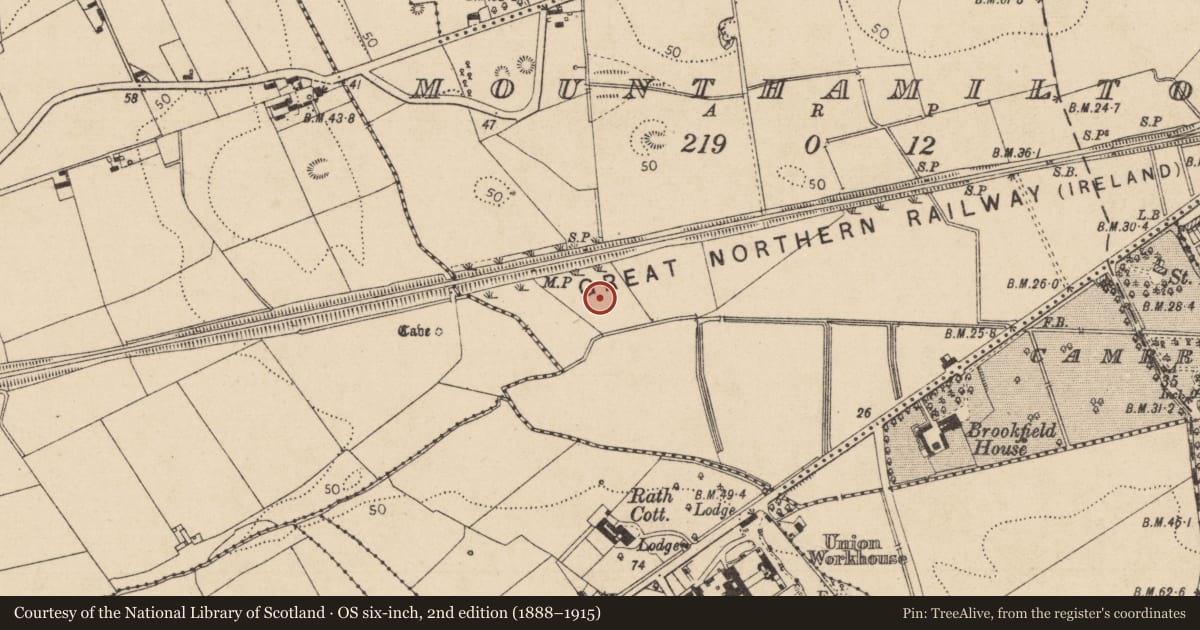 Ordnance Survey six-inch map, 2nd edition (1888–1915) covering the location of Burial ground, Mounthamilton, County Louth, with a pin at the register's coordinates