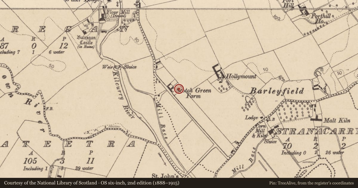 Ordnance Survey six-inch map, 2nd edition (1888–1915) covering the location of Cist, Balriggan, County Louth, with a pin at the register's coordinates