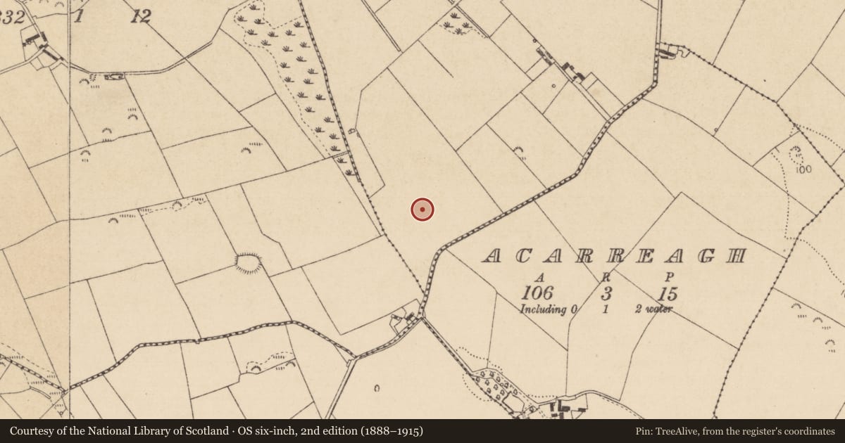 Ordnance Survey six-inch map, 2nd edition (1888–1915) covering the location of Cist, Newtownbalregan, County Louth, with a pin at the register's coordinates