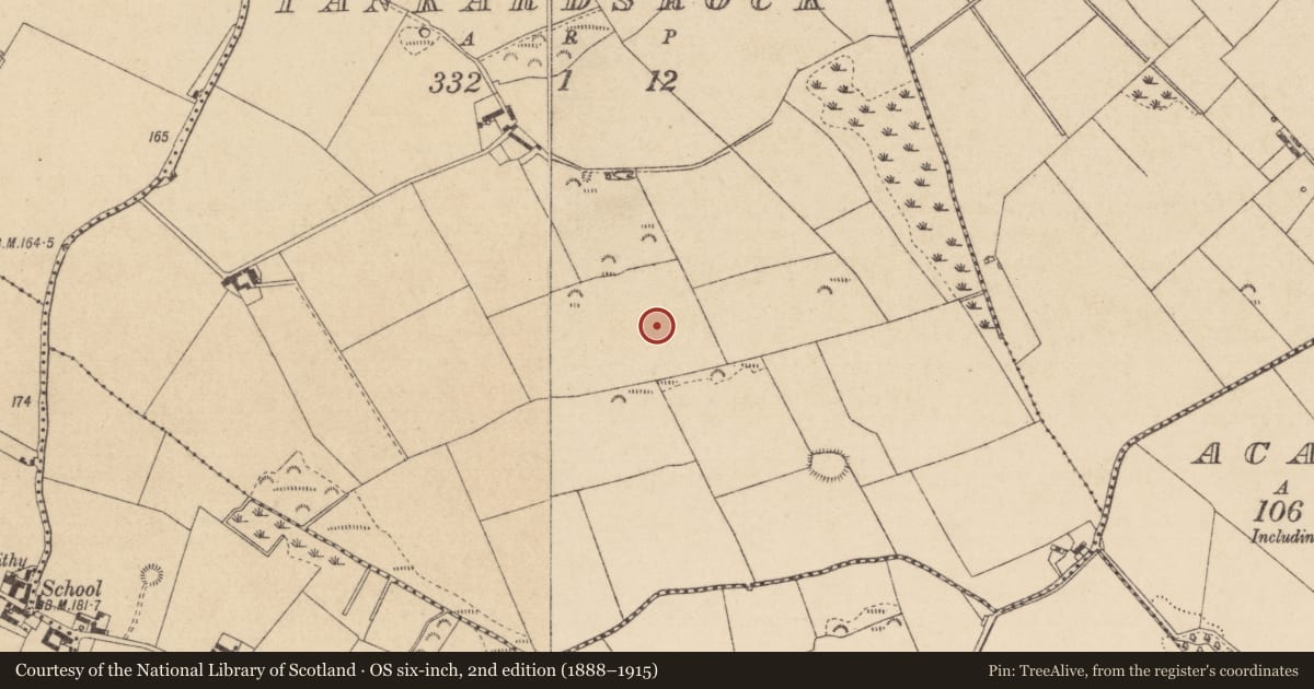 Ordnance Survey six-inch map, 2nd edition (1888–1915) covering the location of Rock art, Tankardsrock, County Louth, with a pin at the register's coordinates