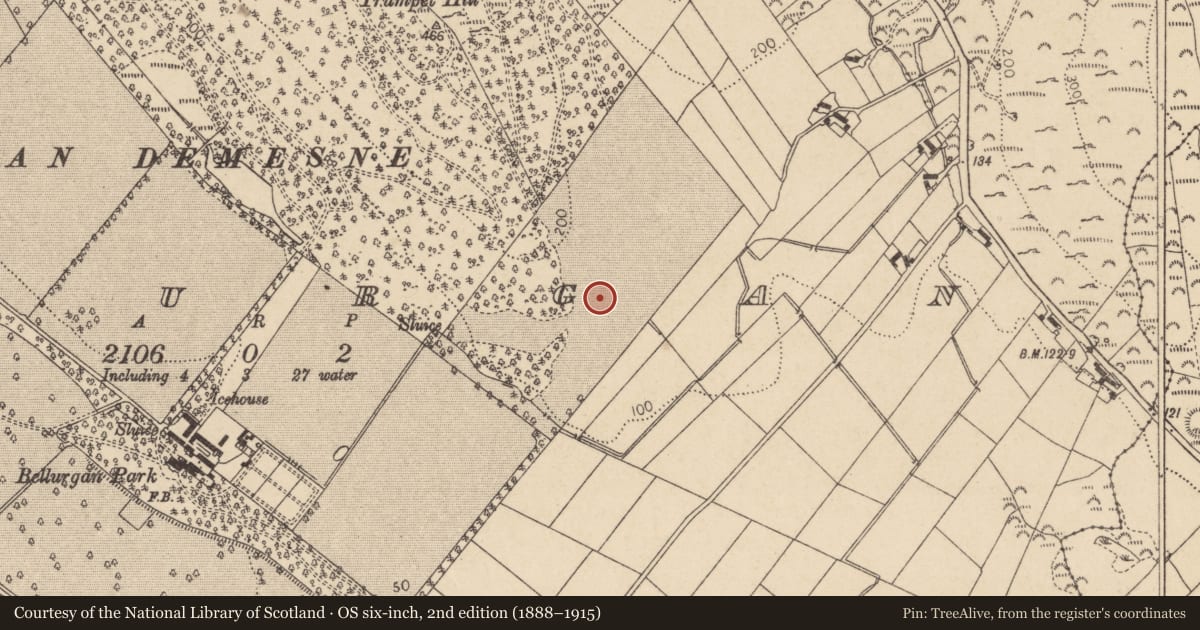 Ordnance Survey six-inch map, 2nd edition (1888–1915) covering the location of Souterrain, Bellurgan (Dundalk Lwr by, County Louth, with a pin at the register's coordinates