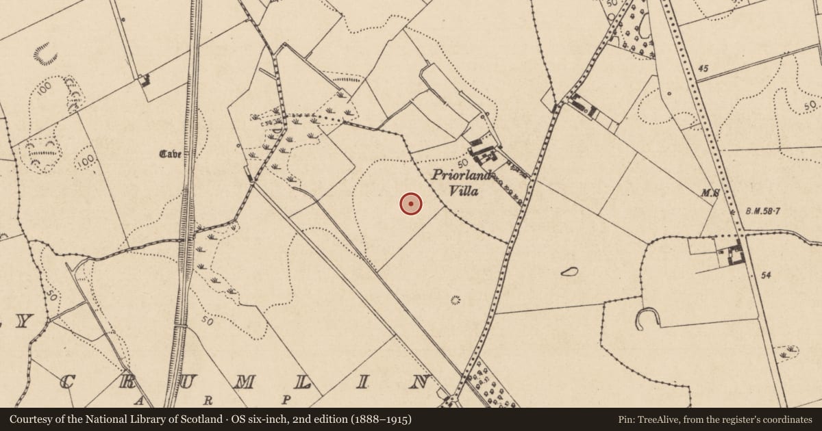 Ordnance Survey six-inch map, 2nd edition (1888–1915) covering the location of Souterrain, Crumlin, County Louth, with a pin at the register's coordinates