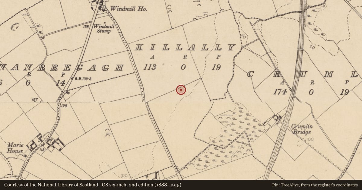 Ordnance Survey six-inch map, 2nd edition (1888–1915) covering the location of Enclosure, Killally, County Louth, with a pin at the register's coordinates