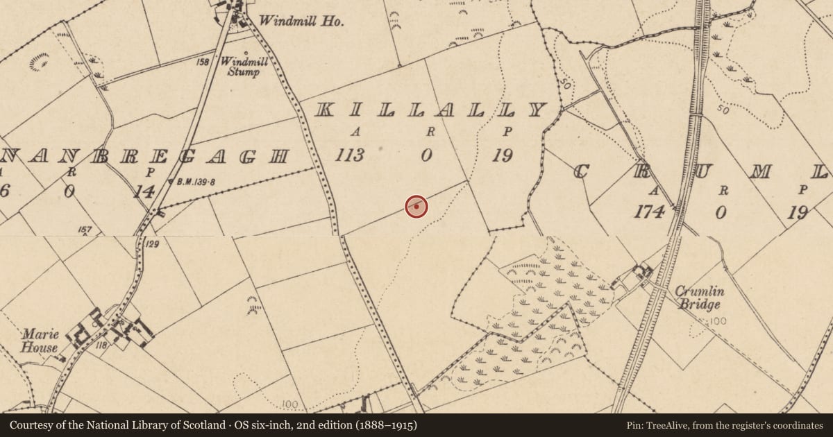 Ordnance Survey six-inch map, 2nd edition (1888–1915) covering the location of Souterrain, Killally, County Louth, with a pin at the register's coordinates