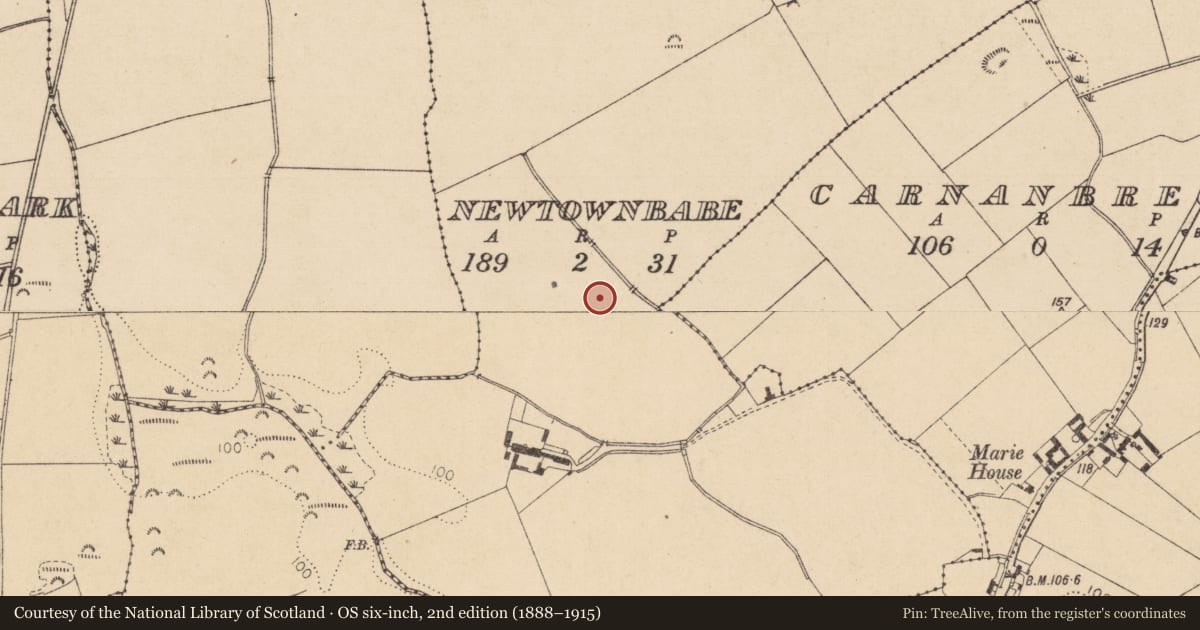 Ordnance Survey six-inch map, 2nd edition (1888–1915) covering the location of Souterrain, Newtownbabe, County Louth, with a pin at the register's coordinates