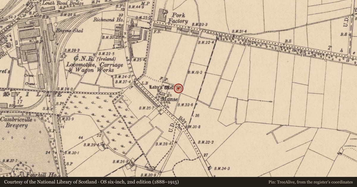 Ordnance Survey six-inch map, 2nd edition (1888–1915) covering the location of Ritual site - holy well, Marshes Upper, County Louth, with a pin at the register's coordinates
