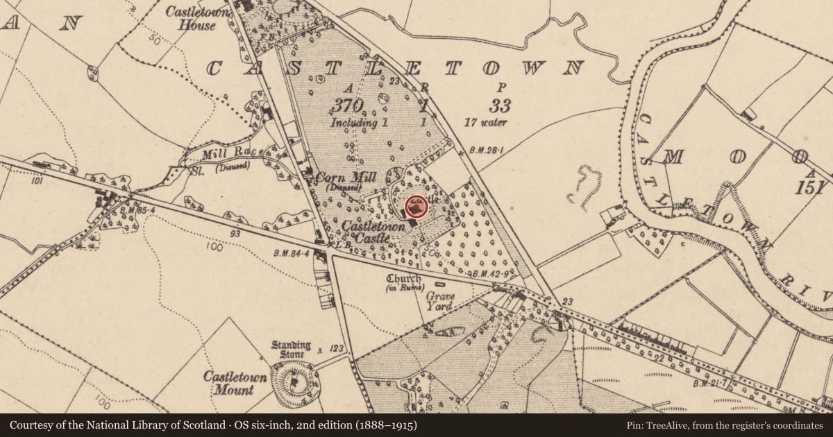 Ordnance Survey six-inch map, 2nd edition (1888–1915) covering the location of Castle - tower house, Castletown, County Louth, with a pin at the register's coordinates