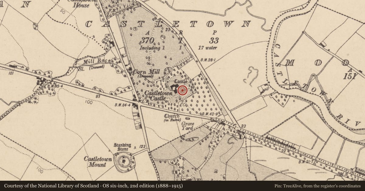 Ordnance Survey six-inch map, 2nd edition (1888–1915) covering the location of Stone head, Castletown, County Louth, with a pin at the register's coordinates