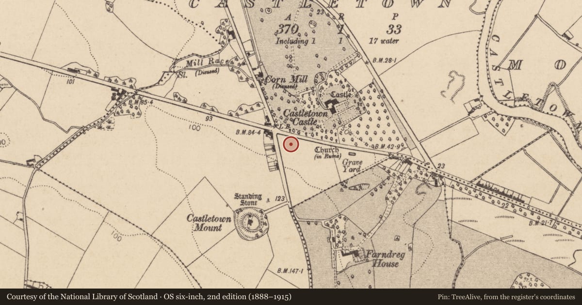 Ordnance Survey six-inch map, 2nd edition (1888–1915) covering the location of Castle - unclassified, Castletown, County Louth, with a pin at the register's coordinates