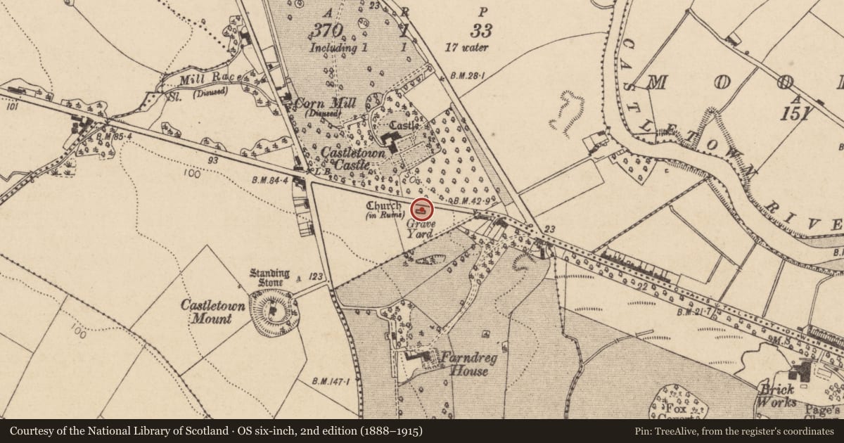 Ordnance Survey six-inch map, 2nd edition (1888–1915) covering the location of Church, Castletown, County Louth, with a pin at the register's coordinates