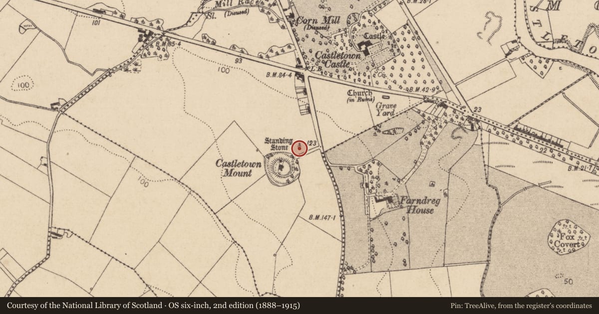 Ordnance Survey six-inch map, 2nd edition (1888–1915) covering the location of Standing stone, Castletown, County Louth, with a pin at the register's coordinates