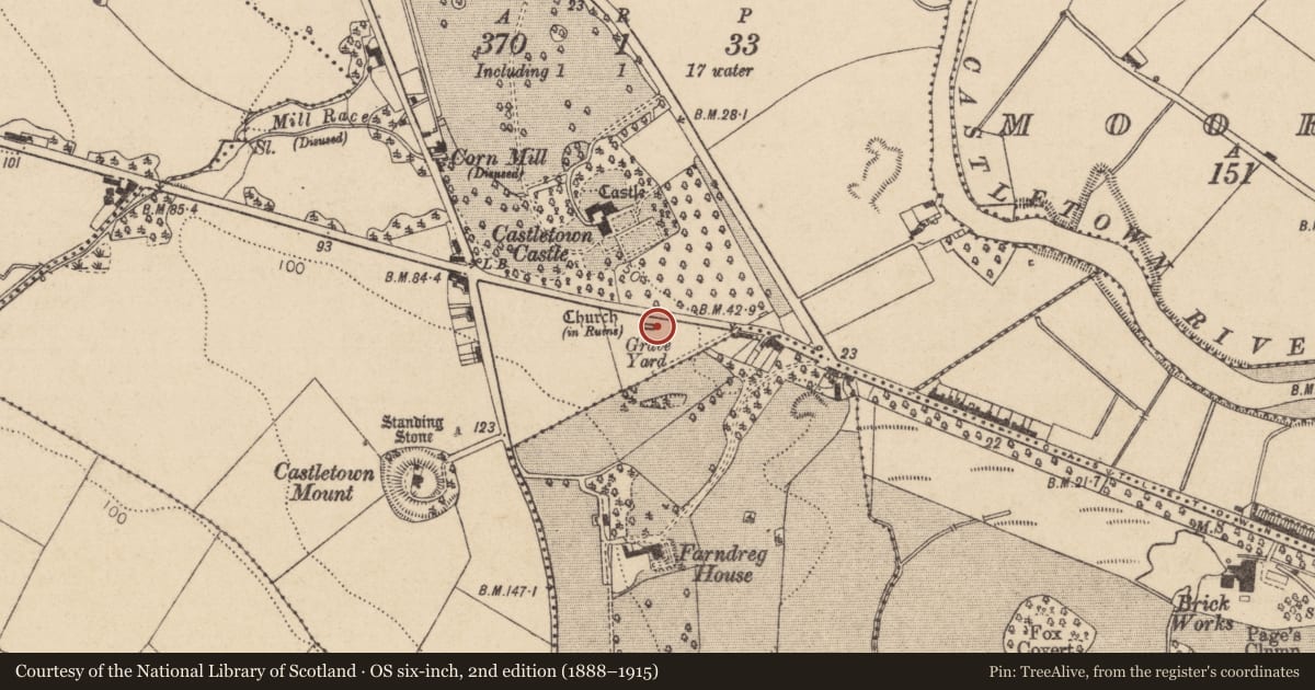 Ordnance Survey six-inch map, 2nd edition (1888–1915) covering the location of Graveslab, Castletown, County Louth, with a pin at the register's coordinates