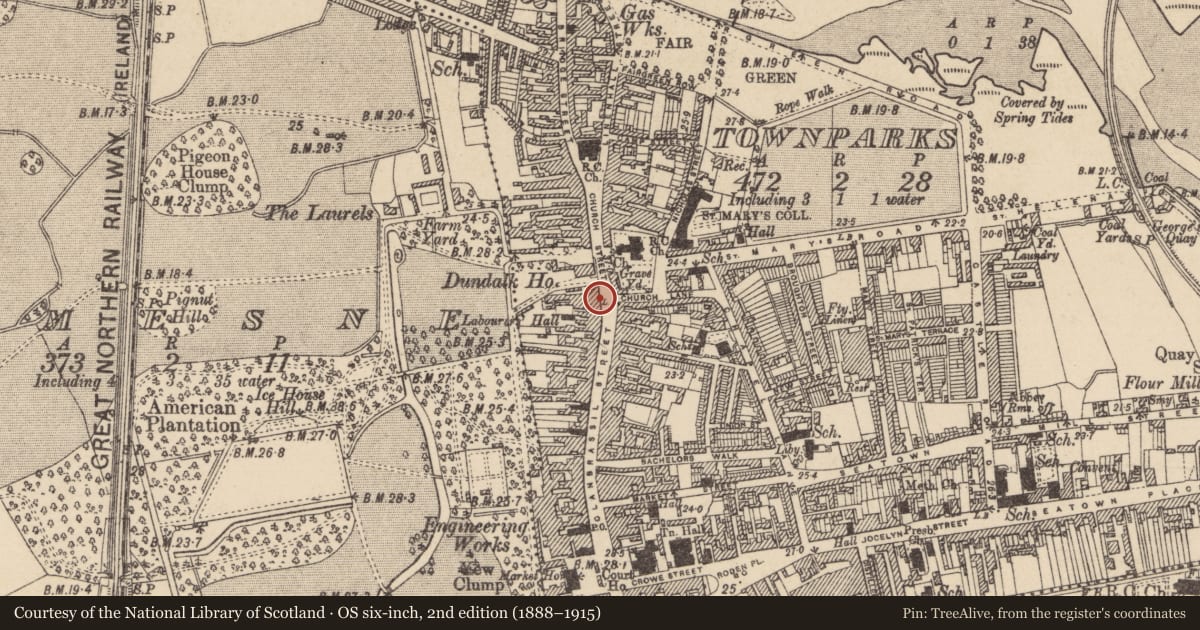 Ordnance Survey six-inch map, 2nd edition (1888–1915) covering the location of Castle - tower house, Townparks, County Louth, with a pin at the register's coordinates