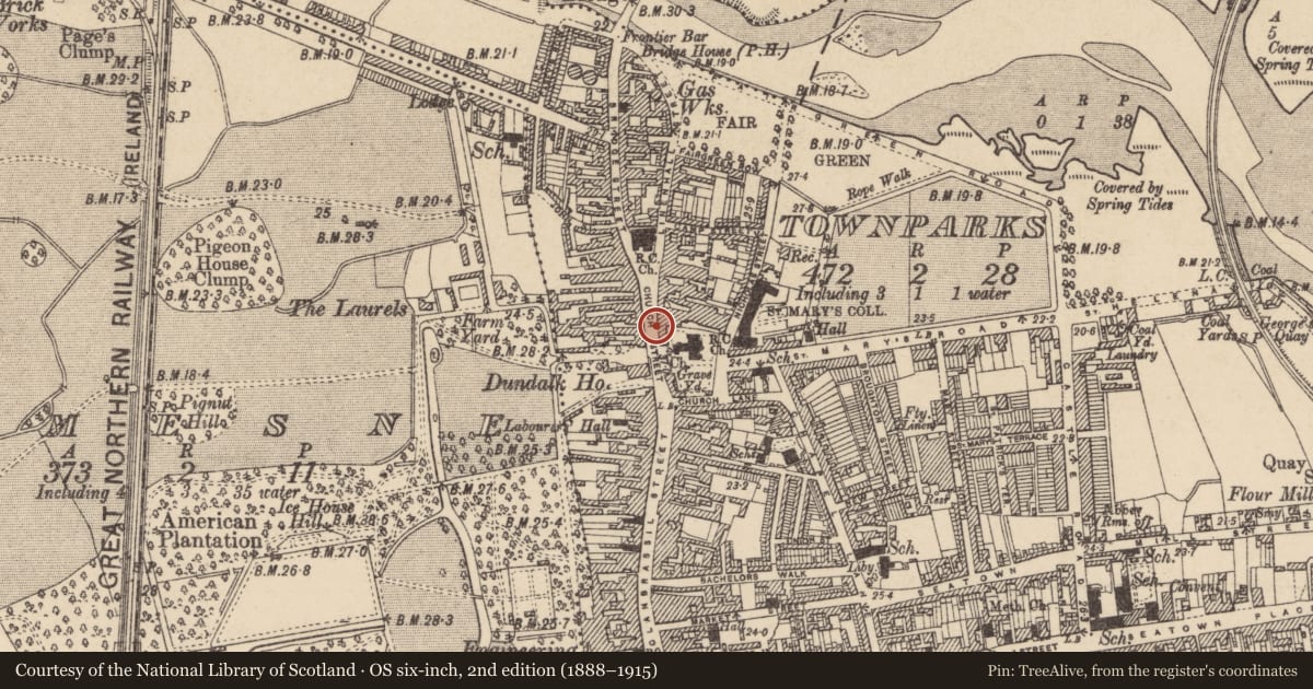 Ordnance Survey six-inch map, 2nd edition (1888–1915) covering the location of Castle - tower house, Townparks, County Louth, with a pin at the register's coordinates
