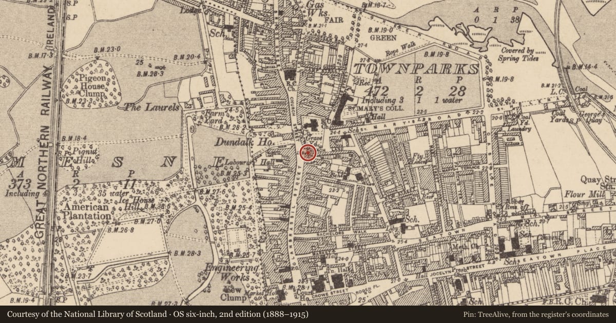 Ordnance Survey six-inch map, 2nd edition (1888–1915) covering the location of Castle - tower house, Townparks, County Louth, with a pin at the register's coordinates