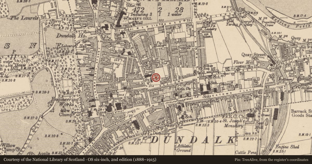Ordnance Survey six-inch map, 2nd edition (1888–1915) covering the location of Religious house - Fratres Cruciferi, Townparks, County Louth, with a pin at the register's coordinates