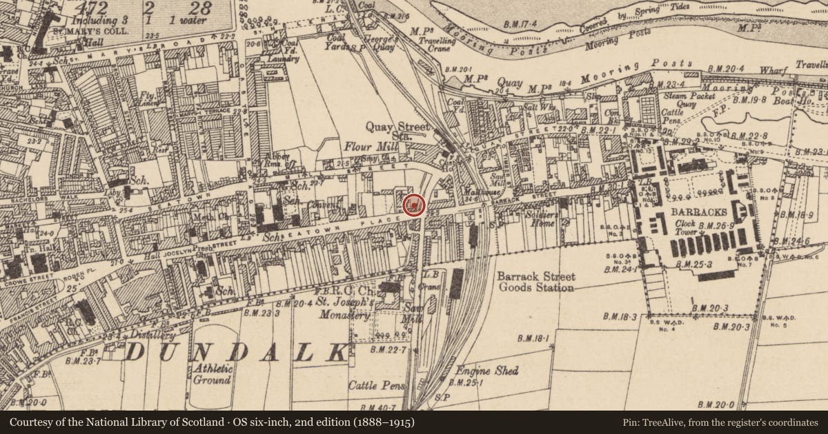 Ordnance Survey six-inch map, 2nd edition (1888–1915) covering the location of Castle - tower house, Townparks, County Louth, with a pin at the register's coordinates