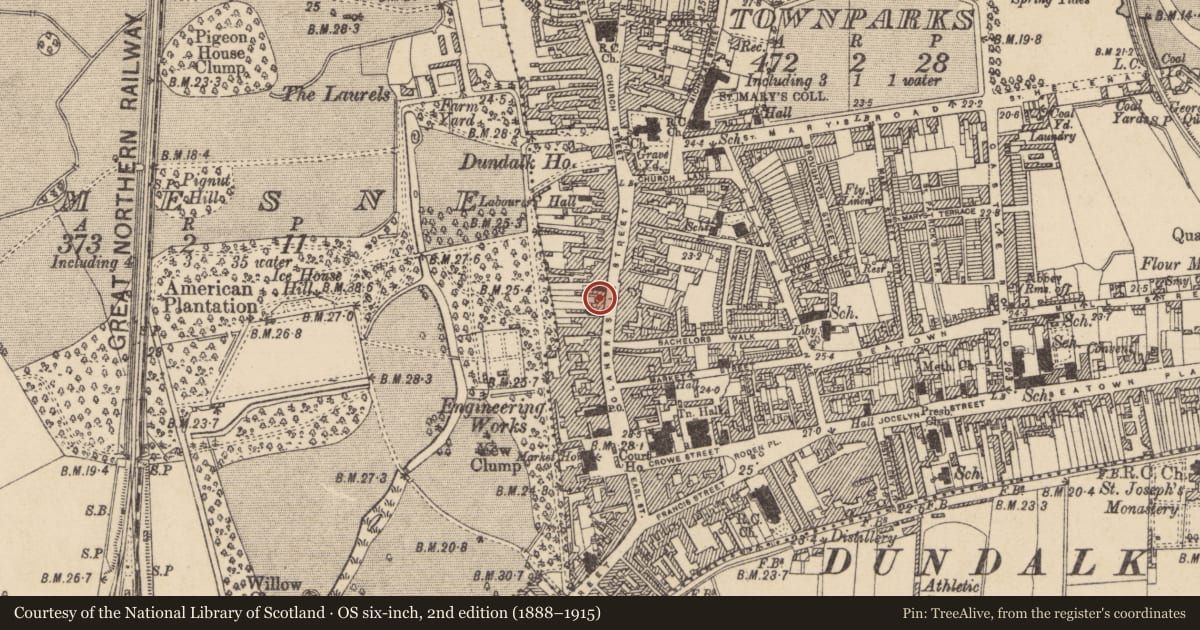 Ordnance Survey six-inch map, 2nd edition (1888–1915) covering the location of Castle - tower house, Townparks, County Louth, with a pin at the register's coordinates