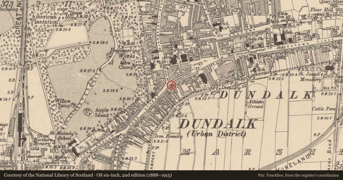 Ordnance Survey six-inch map, 2nd edition (1888–1915) covering the location of Castle - tower house, Townparks, County Louth, with a pin at the register's coordinates