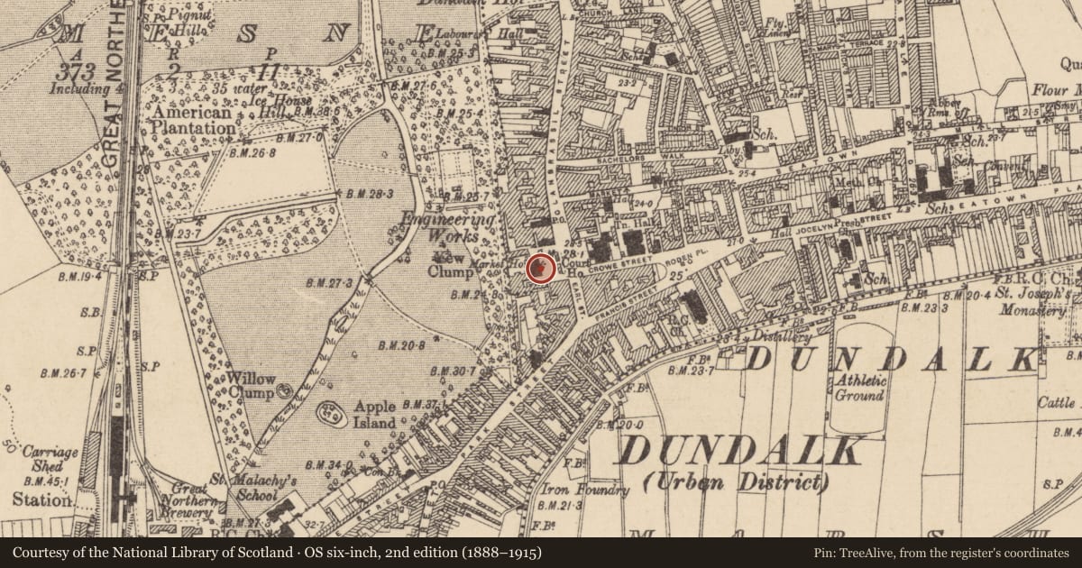 Ordnance Survey six-inch map, 2nd edition (1888–1915) covering the location of Excavation - miscellaneous, Townparks, County Louth, with a pin at the register's coordinates