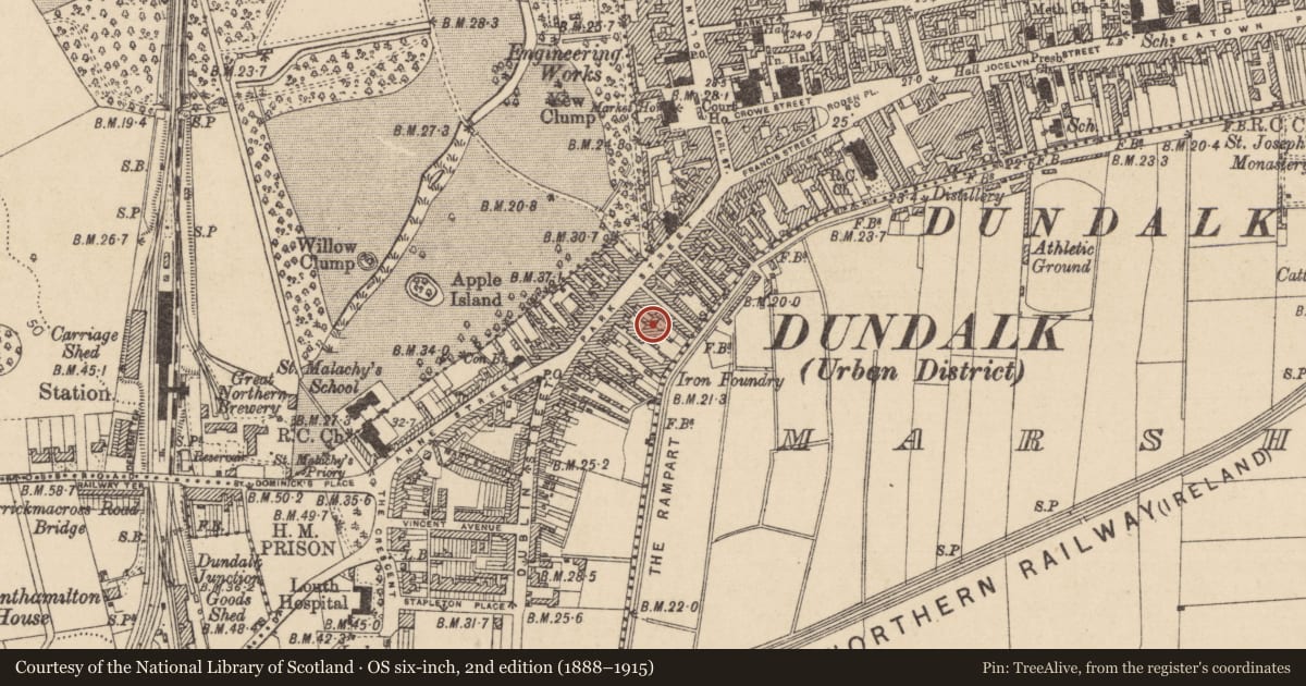 Ordnance Survey six-inch map, 2nd edition (1888–1915) covering the location of Excavation - miscellaneous, Townparks, County Louth, with a pin at the register's coordinates