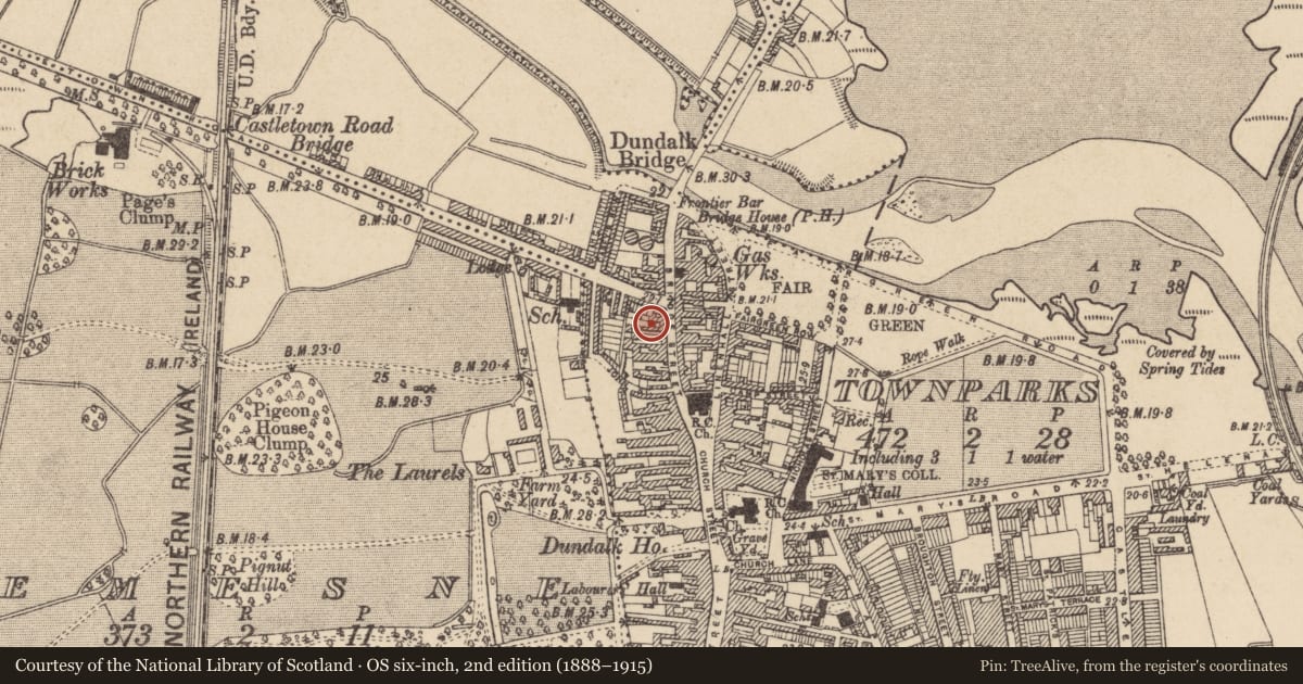 Ordnance Survey six-inch map, 2nd edition (1888–1915) covering the location of Kiln - pottery, Townparks, County Louth, with a pin at the register's coordinates