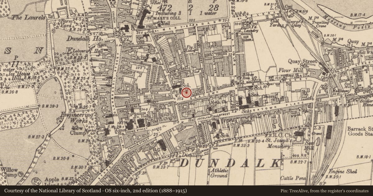 Ordnance Survey six-inch map, 2nd edition (1888–1915) covering the location of Burial ground, Townparks, County Louth, with a pin at the register's coordinates