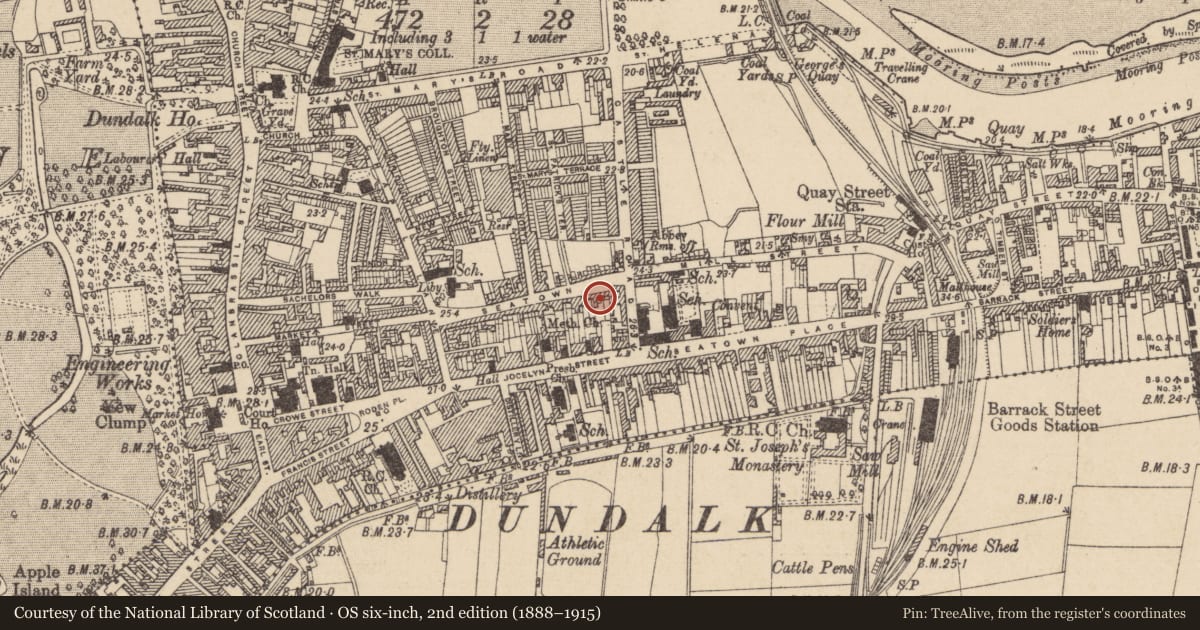 Ordnance Survey six-inch map, 2nd edition (1888–1915) covering the location of Excavation - miscellaneous, Townparks, County Louth, with a pin at the register's coordinates